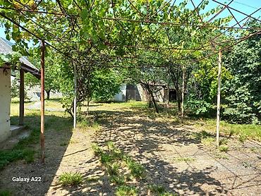 gəncə kiraye ev: 85 kv. m, 3 otaqlı, Kombi, Qaz, İşıq — 1