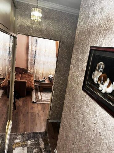 Yeni tikili: 2 otaqlı, Yeni tikili, 50 kv. m -da lalafo.az — 4 Yeni tikili: 2 otaqlı, Yeni tikili, 50 kv. m — 4