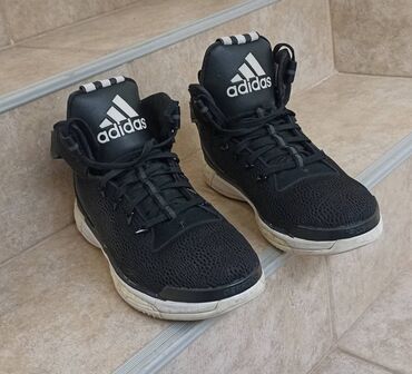 Patike: Patike, Adidas, veličina - 44.5 — 2