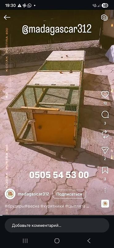 Товары и оборудование для с/х животных: Цена от 100$ и выше в зависимости от размеров. Уяча, гнездо с — 8