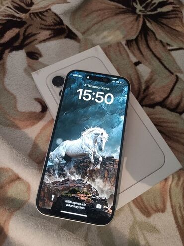 Mətbəx texnikası: IPhone 14 Pro, Gümüşü
