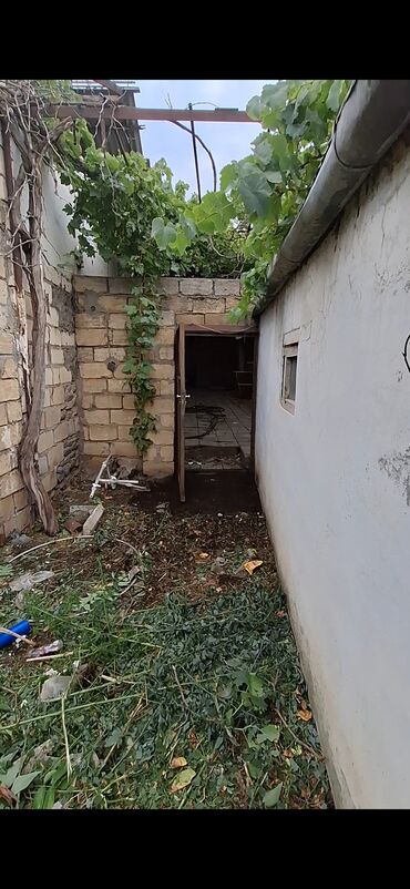 Həyət evləri və villaların satışı: 4 otaqlı, 5 kv. m, Kredit yoxdur, Orta təmir — 7