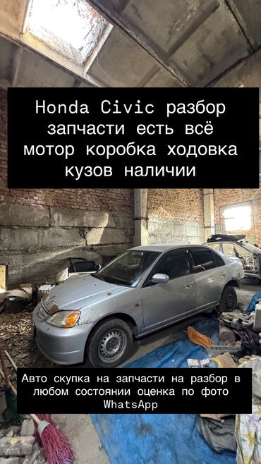Honda: Honda Civic: 2001 г., 1.7 л, Автомат