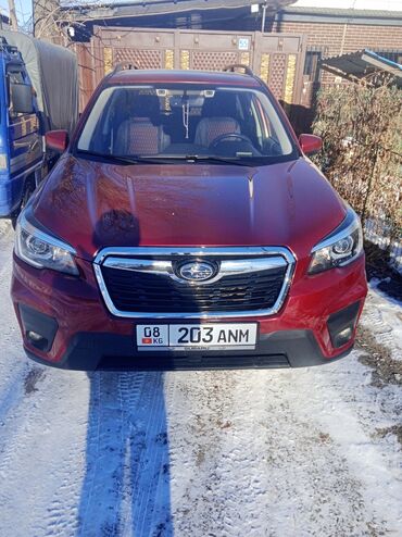 машина каракол голф: Subaru Forester: 2019 г., 2.5 л, Вариатор, Бензин, Кроссовер