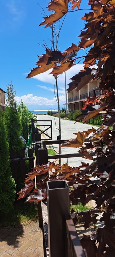 Иссык-Куль 2025: Таунхаус, Сдается таунхаус ЦО Лазурный берег, Чок-Тал, Детская площадка, Парковка, стоянка, Охраняемая территория at lalafo.kg — 9 Иссык-Куль 2025: Таунхаус, Сдается таунхаус ЦО Лазурный берег, Чок-Тал, Детская площадка, Парковка, стоянка, Охраняемая территория — 9