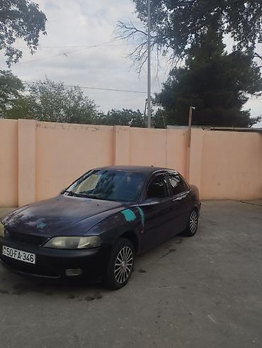 niva siti satilir: Opel Vectra: 1.6 l | 1996 il 25000 km Sedan — 3