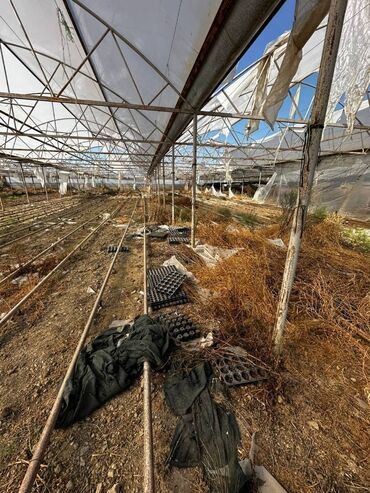 Kommersiya daşınmaz əmlakının satışı: Abseron Rayonu Məhəmmədli Qəsəbəsində Parnik satilir. Torpaq sahəsi 60 -da lalafo.az — 8 Kommersiya daşınmaz əmlakının satışı: Abseron Rayonu Məhəmmədli Qəsəbəsində Parnik satilir. Torpaq sahəsi 60 — 8