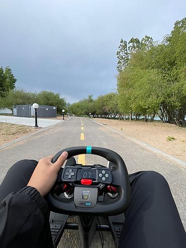 gokart pro: Электрический карт Segway GoKart Pro 2 - Формула драйва: компактный — 4