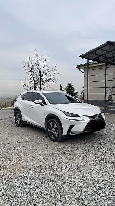 lexus nx300: Lexus NX: 2019 г., 2 л, Автомат, Бензин, Кроссовер — 2