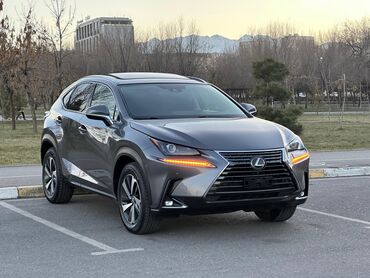 Lexus: Lexus NX: 2019 г., 2 л, Автомат, Бензин, Кроссовер — 11