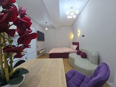 Посуточная аренда квартир: 1 комната, Парковка, Душевая кабина, Бронь — 4