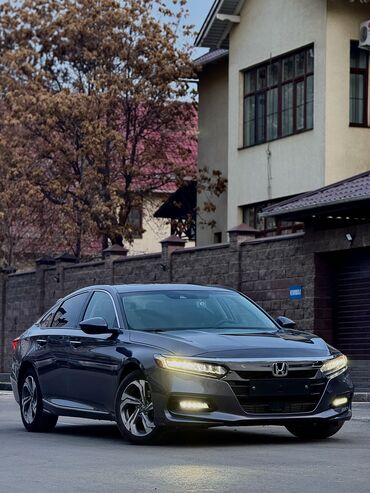 Honda: Honda Accord: 2019 г., 1.5 л, Типтроник, Бензин, Седан — 3