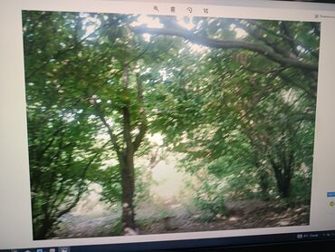 Torpaq sahələrinin satışı: 21 sot, Tikinti, Mülkiyyətçi, Kupça (Çıxarış) — 14