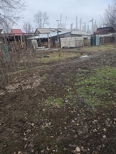 Продажа коттеджей и домов: Продается дом с участком . с.Ново Николаевка ул. Демьяна бедного 18 — 4