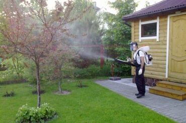 Другие услуги: Обрезка изгороди хвойных деревьев плодовых деревьев Весной Обработка — 14