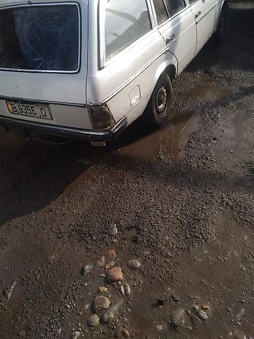 sprinter 2003: Mercedes-Benz W123: 1980 г., Универсал — 3