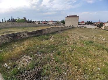goredil: 15 sot, Biznes üçün, Mülkiyyətçi, Kupça (Çıxarış) — 4