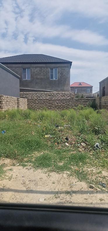 zabratda: Tikinti, Mülkiyyətçi, Kupça (Çıxarış) — 2