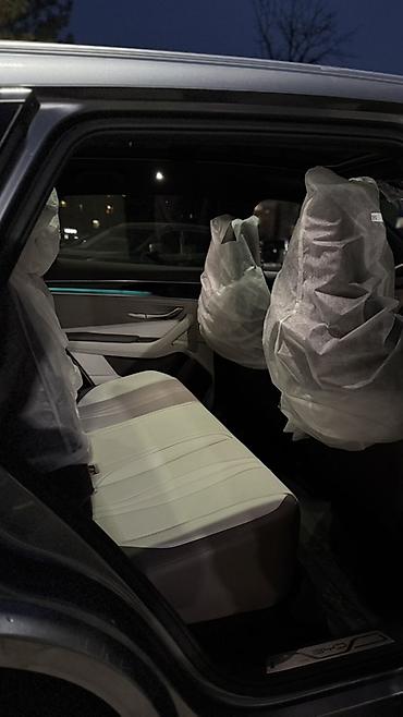 BYD: BYD Song Plus: 2025 г., Автомат, Электромобиль, Кроссовер — 11