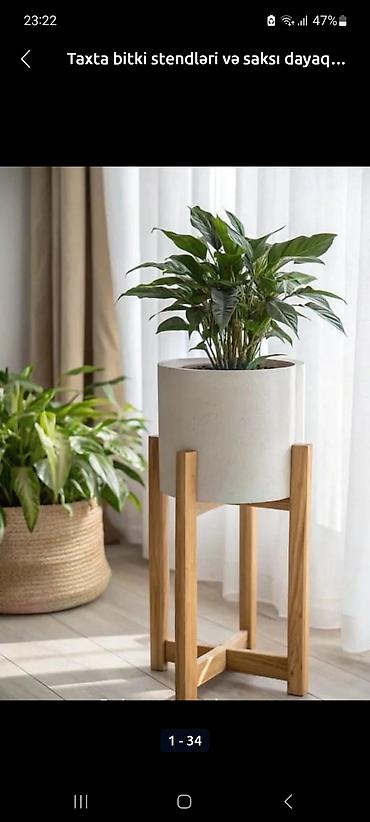 Rəflər: Gül rəfi — 8