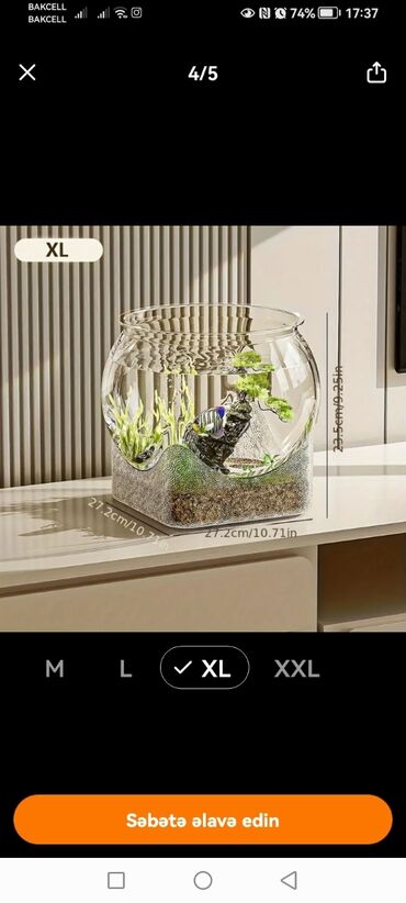 akvaryum ucuz: Yumru akvarium, Boş, 3 l, Ödənişli çatdırılma