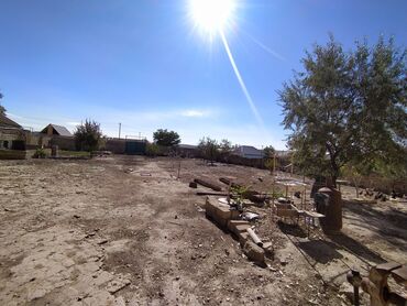 Torpaq sahələrinin satışı: 6 sot, Kənd təsərrüfatı, Kupça (Çıxarış) — 2