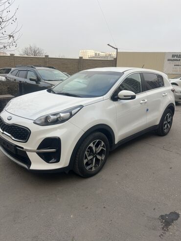 Kia: Kia Sportage: 2019 г., 2 л, Автомат, Дизель, Кроссовер — 3