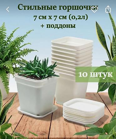 plaud note: Набор квадратных горшочков для растений с поддонами — 10 штук — 2