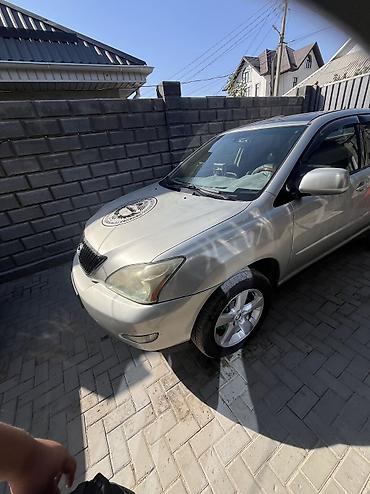 Lexus: Lexus RX: 2005 г., Кроссовер — 12