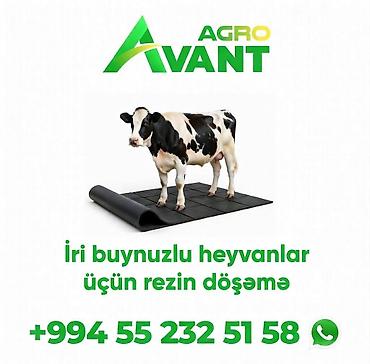 şit örtüyü: İri buynuzlu heyvanlar üçün rezin döşəmə - Ferma və tövlələr üçün — 1