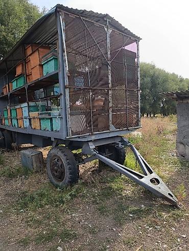 кербен авто: Продаю пасеку Г.Каинда Все документы в порядке, вагон с документами — 3