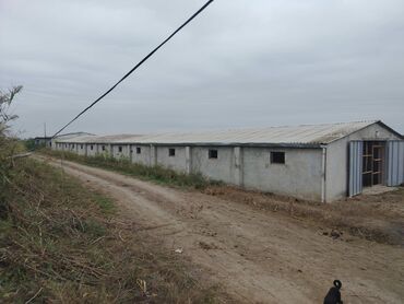 Torpaq sahələrinin satışı: 200 sot, Kənd təsərrüfatı, Mülkiyyətçi, Kupça (Çıxarış) -da lalafo.az — 1 Torpaq sahələrinin satışı: 200 sot, Kənd təsərrüfatı, Mülkiyyətçi, Kupça (Çıxarış) — 1