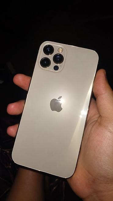 iphone x world telecom: IPhone 12 Pro, 256 GB, Qızılı, Face ID — 2