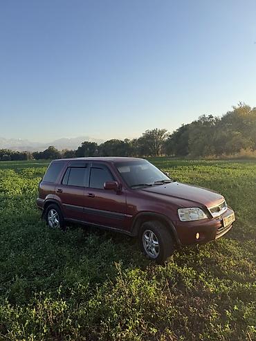 Honda CR-V: 2000 г., 2 л, Механика, Бензин, Внедорожник