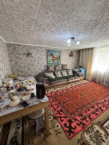 тынчтык ж м: 5 соток, Курулуш, Кызыл китеп — 6