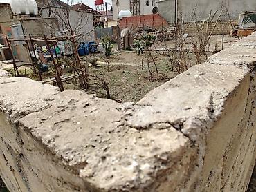 Torpaq sahələrinin satışı: Tikinti — 5