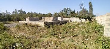 evler zabrat: 10 sot, Mülkiyyətçi, Kupça (Çıxarış) — 7