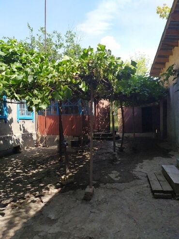 ������������ ���������� ������������ в Кыргызстан | Продажа домов: 260 м², 3 комнаты, Без мебели
