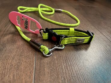 ошейник для кошек: Ошейник с поводком фирменный Panda для собак. Качество отличное