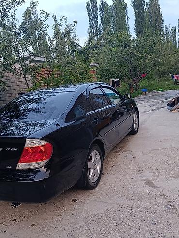 Toyota: Toyota Camry: 2005 г., 2.4 л, Автомат, Бензин, Седан — 3