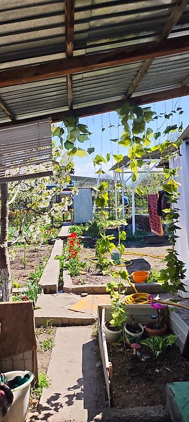 Продажа дач: Продается Дача 5 соток с двухэтажным домом 46 квадратов летней — 20