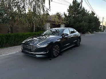 задняя шторка: Hyundai Sonata: 2022 г., 2 л, Автомат, Гибрид, Седан — 2