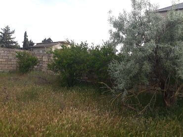 Torpaq sahələrinin satışı: 12 sot, Makler, Kupça (Çıxarış) — 8