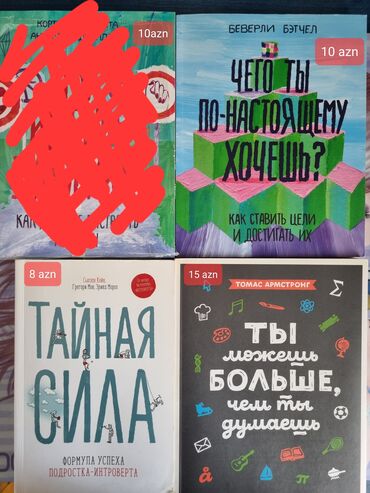 книга для чтения 4 класс озмитель е е власова и в: 1. Тайная Сила: Формула Успеха Подростка-Интроверта. Цена: 8 манат Для