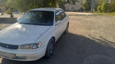 радиатор на опель вектра б: Toyota Corolla седан, белый цвет кузова. Компактный и экономичный