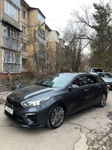 Kia: Kia K3: 2019 г., 1.6 л, Автомат, Бензин, Хэтчбэк — 5