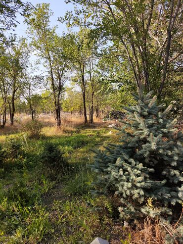 Продажа домов: Дача, 140 м², 3 комнаты, Собственник, Дизайнерский ремонт — 8