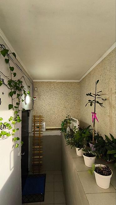 Продажа офисов: Продажа офисов 95 м², С ремонтом, С мебелью, Многоэтажное здание, Цокольный этаж этаж — 11