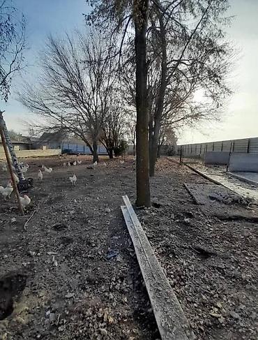 Продажа участков: 18 соток, Для бизнеса — 4