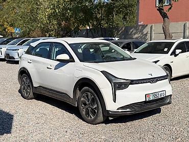 BYD: BYD : 2023 г., Автомат, Электромобиль, Кроссовер — 3